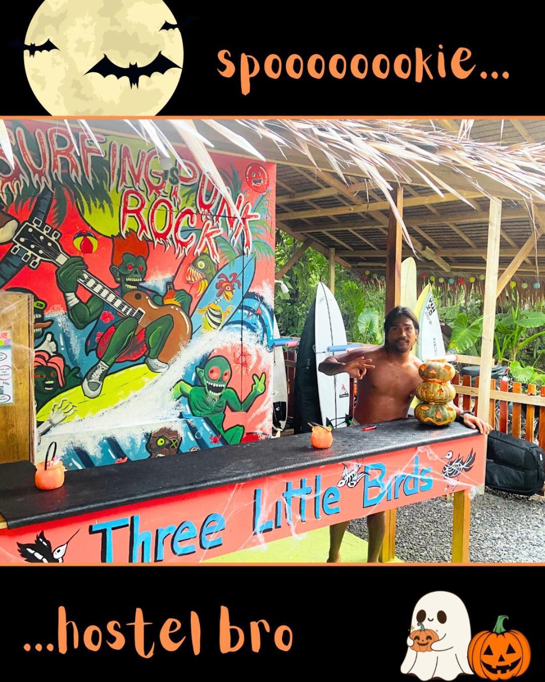 Three Little Birds Surf Hostel جنرال لونا المظهر الخارجي الصورة